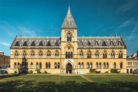 Il Museo di Storia Naturale: Un Oasis di Curiosità nel Cuore di Oxford!