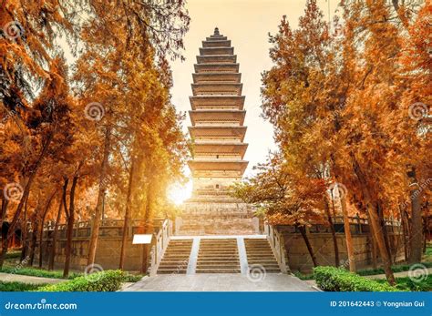 La Pagoda di Qiyun: Un gioiello architettonico sospeso nel tempo e immerso nella natura!